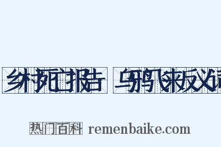 乡村死亡报告·乌鸦飞来反义词是什么意思的图片